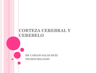 CORTEZA CEREBRAL Y
CEREBELO
DR CARLOS SALAS RUIZ
NEUROCIRUJANO
 