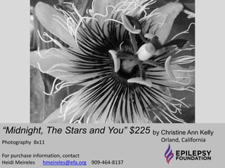 “After the Ball” $75 by Christine Ann Kelly 
Orland, California 
Photography 8x11 
For purchase information, contact 
Heidi Meireles hmeireles@efa.org 909-464-8137 
 