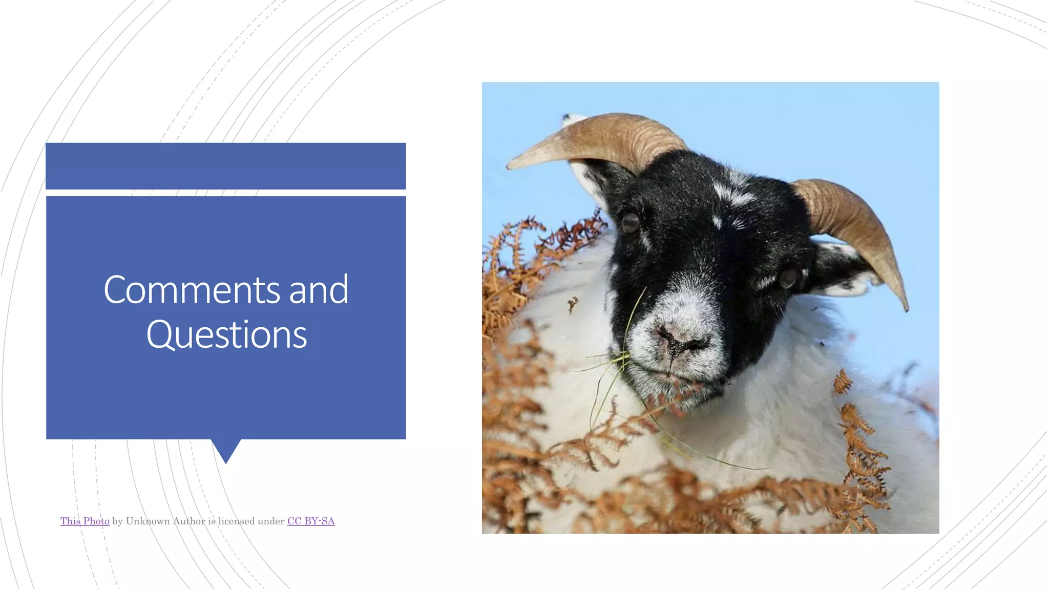 Commentsand
Questions
This Photo by Unknown Author is licensed under CC BY-SA
 