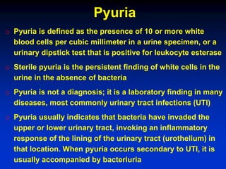HT6y_lect3_Urinary Syndrome, Renal AH and Edema_LegkonogovAV.pdf