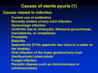 Pyuria In Prostatitis HT6y_lect3_Urinary Syndrome, Renal AH and Edema_LegkonogovAV.pdf