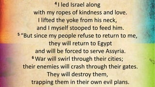 4 I led Israel along
with my ropes of kindness and love.
I lifted the yoke from his neck,
and I myself stooped to feed him.
5 “But since my people refuse to return to me,
they will return to Egypt
and will be forced to serve Assyria.
6 War will swirl through their cities;
their enemies will crash through their gates.
They will destroy them,
trapping them in their own evil plans.
 