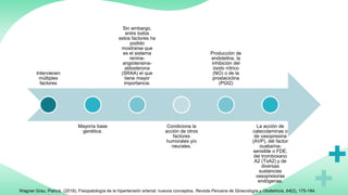Intervienen
múltiples
factores
Mayoría base
genética.
Sin embargo,
entre todos
estos factores ha
podido
mostrarse que
es el sistema
renina-
angiotensina-
aldosterona
(SRAA) el que
tiene mayor
importancia.
Condiciona la
acción de otros
factores
humorales y/o
neurales.
Producción de
endotelina, la
inhibición del
óxido nítrico
(NO) o de la
prostaciclina
(PGI2)
La acción de
catecolaminas o
de vasopresina
(AVP), del factor
ouabaína-
sensible o FDE,
del tromboxano
A2 (TxA2) y de
diversas
sustancias
vasopresoras
endógenas.
Wagner Grau, Patrick. (2018). Fisiopatología de la hipertensión arterial: nuevos conceptos. Revista Peruana de Ginecología y Obstetricia, 64(2), 175-184.
 