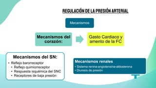 REGULACIÓNDELAPRESIÓN ARTERIAL
Mecanismos
Mecanismos del
corazón:
Gasto Cardiaco y
amento de la FC
Mecanismos del SN:
• Reflejo barorreceptor
• Reflejo quimiorreceptor
• Respuesta isquémica del SNC
• Receptores de baja presión
Mecanismos renales
• Sistema renina-angiotensina-aldosterona
• Diuresis de presión
 