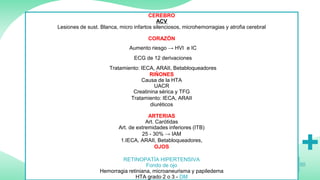 CEREBRO
ACV
Lesiones de sust. Blanca, micro infartos silenciosos, microhemorragias y atrofia cerebral
CORAZÓN
Aumento riesgo → HVI e IC
ECG de 12 derivaciones
Tratamiento: IECA, ARAII, Betabloqueadores
RIÑONES
Causa de la HTA
UACR
Creatinina sérica y TFG
Tratamiento: IECA, ARAII
diuréticos
ARTERIAS
Art. Carótidas
Art. de extremidades inferiores (ITB)
25 - 30% → IAM
1.IECA, ARAII, Betabloqueadores,
OJOS
RETINOPATÍA HIPERTENSIVA
Fondo de ojo
Hemorragia retiniana, microaneurisma y papiledema
HTA grado 2 o 3 - DM
 