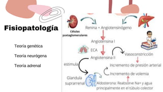 Fisiopatología
Teoría genética
Teoría neurógena
Teoría adrenal
 