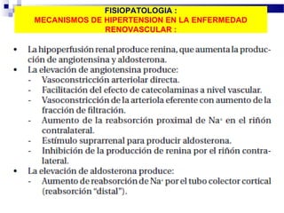 FISIOPATOLOGIA :
MECANISMOS DE HIPERTENSION EN LA ENFERMEDAD
              RENOVASCULAR :
 