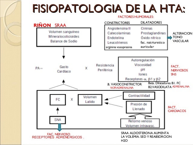 Fisiopatologia de la hipertension arterial en la obesidad
