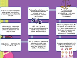 Estado de vasoconstricción
generalizado secundario a
una disfunción en el epitelio
vascular
Ello se asocia a isquemia
placentaria desde mucho
antes de la aparición del
cuadro clínico
ISQUEMIA ← DEFICIENTE
PLACENTACIÓN
No se produciría la habitual
substitución de la capa
muscular de las arterias
espirales uterinas por
células trofoblásticas
VASODILATACIÓN
(aumentar caudal y asegurar
aporte sanguíneo a la
unidad fetoplacentaria)
Factores hereditarios por vía
materna pero también
paterna, factores
inmunológicos, factores
nutricionales.
Prostaglandinas
vasodilatadoras
(prostaciclina) frente a las
vasoconstrictoras
(tromboxano)
Mediado por producción de
citoquinas proinflamatorias
(IL-2, TNF), y de producción
de lipoperóxidos capaces
ambos de inducir
alteraciones endoteliales
Importancia de la disfunción
endotelial y no solo de la
lesión placentaria.
 