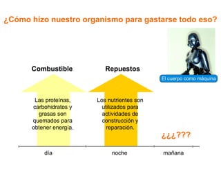 RepuestosCombustible
El cuerpo como máquina
¿Cómo hizo nuestro organismo para gastarse todo eso?
¿¿¿???
día noche mañana
Las proteínas,
carbohidratos y
grasas son
quemados para
obtener energía.
Los nutrientes son
utilizados para
actividades de
construcción y
reparación.
 