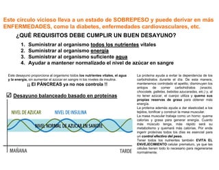 Este círculo vicioso lleva a un estado de SOBREPESO y puede derivar en más
ENFERMEDADES, como la diabetes, enfermedades cardiovasculares, etc.
¿QUÉ REQUISITOS DEBE CUMPLIR UN BUEN DESAYUNO?
1. Suministrar al organismo todos los nutrientestodos los nutrientes vitales
2. Suministrar al organismo energenergííaa
3. Suministrar al organismo suficiente aguaagua
4. Ayudar a mantener normalizado el nivel de azúcar en sangre
La proteína ayuda a evitar la dependencia de los
carbohidratos durante el día. De esta manera,
mantenemos controlado el apetito, disminuyen los
antojos de comer carbohidratos (snacks,
chocolate, galletas, bebidas azucaradas, etc.) y, al
no tener azúcar, el cuerpo utiliza y quema sus
propias reservas de grasa para obtener más
energía.
La proteína además ayuda a dar elasticidad a los
tejidos, tonificar y construir la masa muscular.
La masa muscular trabaja como un horno: quema
calorías y grasa para generar energía. Cuanto
más músculo tenga, más rápido será su
metabolismo y quemará más calorías. Por ende
ingerir proteínas todos los días es esencial para
un control efectivo del peso.control efectivo del peso.
Tener todos los nutrientes también EVITA EL
ENVEJECIMIENTO celular prematuro, ya que las
células tienen todo lo necesario para regenerarse
normalmente.
Desayuno balanceado basado en proteínas
Este desayuno proporciona al organismo todos los nutrientes vitales, el agua
y la energía, sin aumentar el azúcar en sangre ni los niveles de insulina.
¡¡ El PÁNCREAS ya no nos controla !!
 