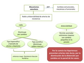 Mecanismos
vasculares
Radio y distensibilidad de arterias de
resistencia
radio
Disminuye
por cambios
Tipo eutrófico
(disminuye
calibre interior)
Tipo hipertrófico
(>tamaño de
células y depósito)
entonces mayor Resistencia Vascular
Periférica
distensibilidad
Permite acomodar
volúmenes mayores
con cambios
pequeños en la
presión
Por lo común los hipertensos
presentan arterias más duras, por la
disminución de la distención por
cambios en la pared de los vasos.
Cambios estructurales,
mecánicos o funcionales
por
 