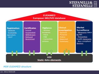 avv. Silvia Stefanelli
 