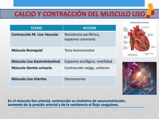 TEJIDO ACCION
Contracción M. Liso Vascular Resistencia periférica,
espasmo coronario
Músculo Bronquial Tono broncomotor
Músculo Liso Gastrointestinal Espasmo esofágico, motilidad
Músculo Genito-urinario Contracción vejiga, uréteres
Músculo Liso Uterino Dismenorrea
 