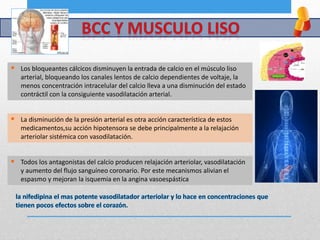  Todos los antagonistas del calcio producen relajación arteriolar, vasodilatación
y aumento del flujo sanguíneo coronario. Por este mecanismos alivian el
espasmo y mejoran la isquemia en la angina vasoespástica
 La disminución de la presión arterial es otra acción característica de estos
medicamentos,su acción hipotensora se debe principalmente a la relajación
arteriolar sistémica con vasodilatación.
 Los bloqueantes cálcicos disminuyen la entrada de calcio en el músculo liso
arterial, bloqueando los canales lentos de calcio dependientes de voltaje, la
menos concentración intracelular del calcio lleva a una disminución del estado
contráctil con la consiguiente vasodilatación arterial.
 