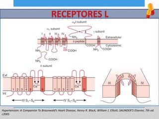 Hypertension: A Companion To Braunwald’s Heart Disease, Henry R. Black, William J. Elliott; SAUNDER’S Elsevier, 7th ed.
c2005
 