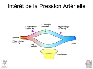 Intérêt de la Pression Artérielle
 