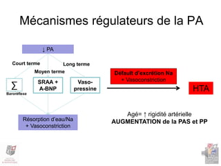 Mécanismes régulateurs de la PA
SRAA +
A-BNP∑
↓ PA
Résorption d’eau/Na
+ Vasoconstriction
Court terme
Défault d’excrétion Na
+ Vasoconstriction
Moyen terme
Vaso-
pressine
Long terme
HTABaroréflexe
Agé= ↑ rigidité artérielle
AUGMENTATION de la PAS et PP
 