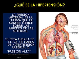 ¿QUÉ ES LA HIPERTENSIÓN?¿QUÉ ES LA HIPERTENSIÓN?
LA PRESIÓNLA PRESIÓN
ARTERIAL ES LAARTERIAL ES LA
FUERZA QUE LAFUERZA QUE LA
SANGRE EJERCESANGRE EJERCE
SOBRE LASSOBRE LAS
PAREDES DE LASPAREDES DE LAS
ARTERIAS.ARTERIAS.
SI ESTA FUERZA SESI ESTA FUERZA SE
ELEVA, SE HABLAELEVA, SE HABLA
DE HIPERTENSIÓNDE HIPERTENSIÓN
ARTERIAL OARTERIAL O
"PRESIÓN ALTA"."PRESIÓN ALTA".
21/02/1721/02/17
htpp://www.investigandoelcorazon.blogspot.comhtpp://www.investigandoelcorazon.blogspot.com 33
 