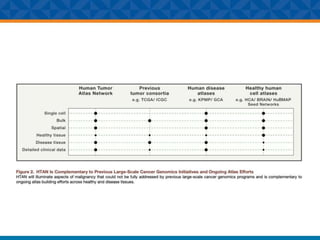 NCI HTAN, cancer trajectories, precision oncology | PPTX
