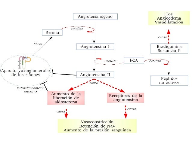 Hta odontologia 2016 (2