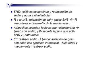 SNS: ↑allib catecolaminas y reabsorción de
sodio y agua a nivel tubular
R a la INS: retención de sal y ↑activ SNS      ↑R
vasculares e hipertrofia de la media vasc.
Adipocitos secretan factoes que ↑aldosterona
↑reabs de sodio; y tb secreta leptina que activ
SNS y ↓natriuresis
El ↑reabsor sodio     ↑encapsulación de gras
aen riñón con ↑presión intersticial, ↓flujo renal y
nuevamente ↑reabsor sodio.
 