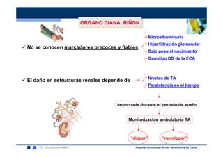 ORGANO DIANA: RIÑON
                     ORGANO DIANA: RIÑON

                                                       Microalbuminuria
                                                       Hiperfiltración glomerular
No se conocen marcadores precoces y fiables
                                                       Bajo peso al nacimiento
                                                        Genotipo DD de la ECA



                                                       Niveles de TA
El daño en estructuras renales depende de
                                                       Persistencia en el tiempo



                                   Importante durante el período de sueño


                                        Monitorización ambulatoria TA



                                            “dipper”               “nondipper”

                                              Hospital Universitari Arnau de Vilanova de Lleida
 