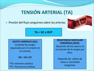 TENSIÓN ARTERIAL (TA)
● Presión del flujo sanguíneo sobre las arterias.
TA = GC x RVP
GASTO CARDÍACO (GC):
Cantidad de sangre
expulsada por el corazón en
un minuto.
GC = VS x FC
*VS: volumen sistólico
*FC: frecuencia cardíaca
RESISTENCIA VASCULAR
PERIFÉRICA (RVP):
Oposición de los vasos a la
circulación de la sangre por
ellos.
Depende de: calibre de
vasos y viscosidad
sanguínea.
 