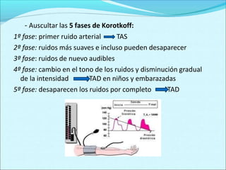 - Auscultar las 5 fases de Korotkoff:
1ª fase: primer ruido arterial TAS
2ª fase: ruidos más suaves e incluso pueden desap...