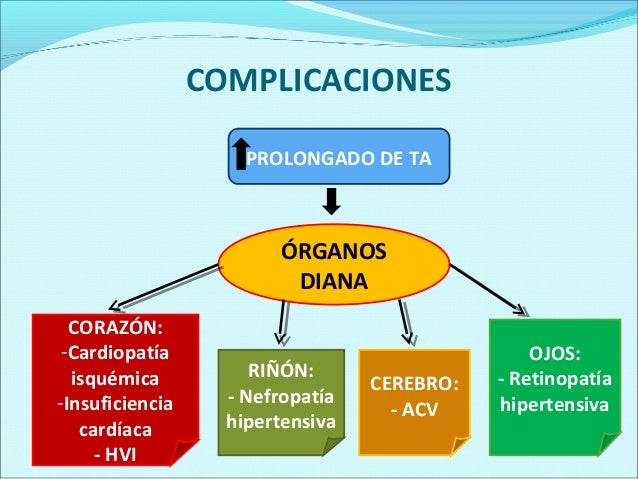 Que es el sobrepeso y la obesidad pdf Que es el sobrepeso y la obesidad pdf