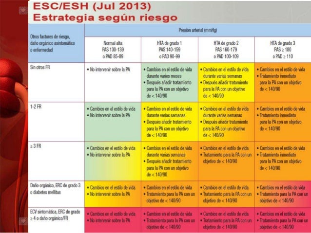 Prueba hipertensión arterial.