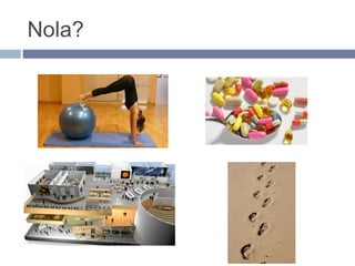 Nola?
 