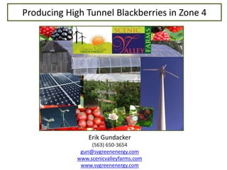 Producing High Tunnel Blackberries in Zone 4 Erik Gundacker (563) 650-3654 gun@svgreenenergy.com www.scenicvalleyfarms.com www.svgreenenergy.com 