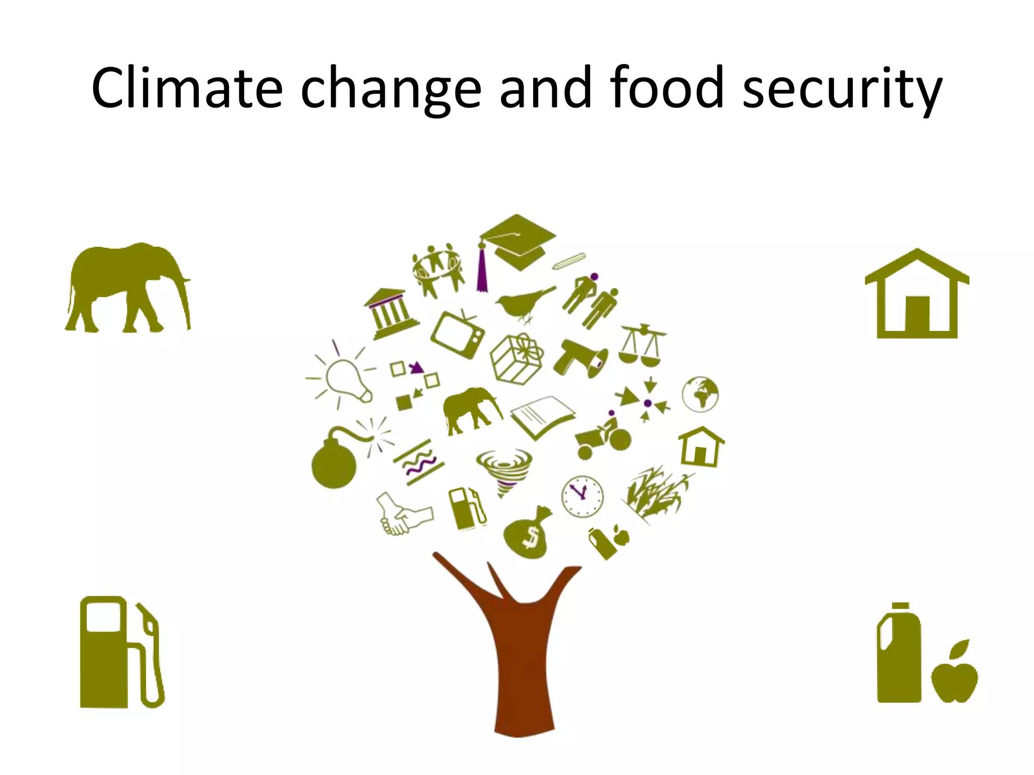 Climate change and food security
 