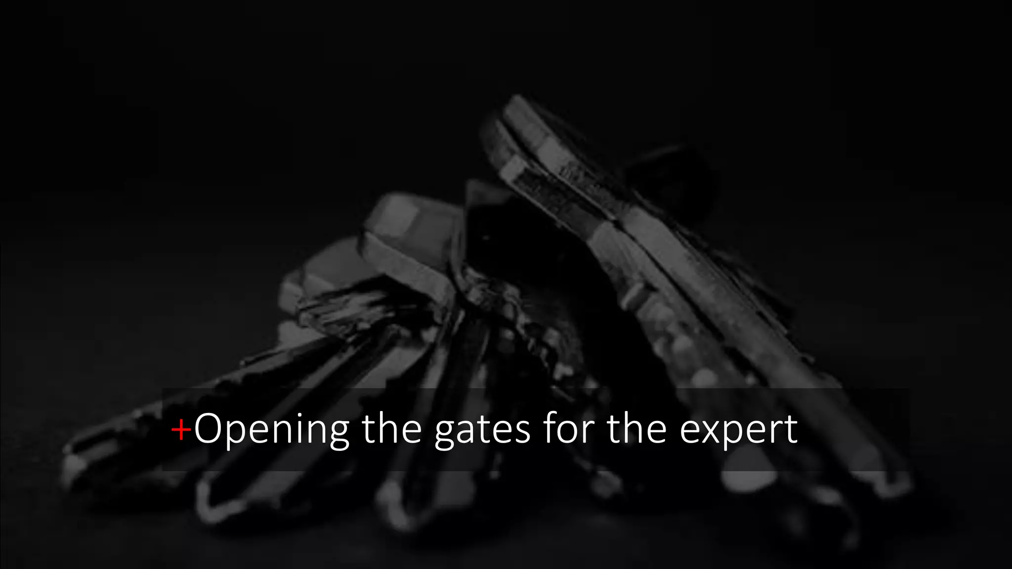 +Opening the gates for the expert
 