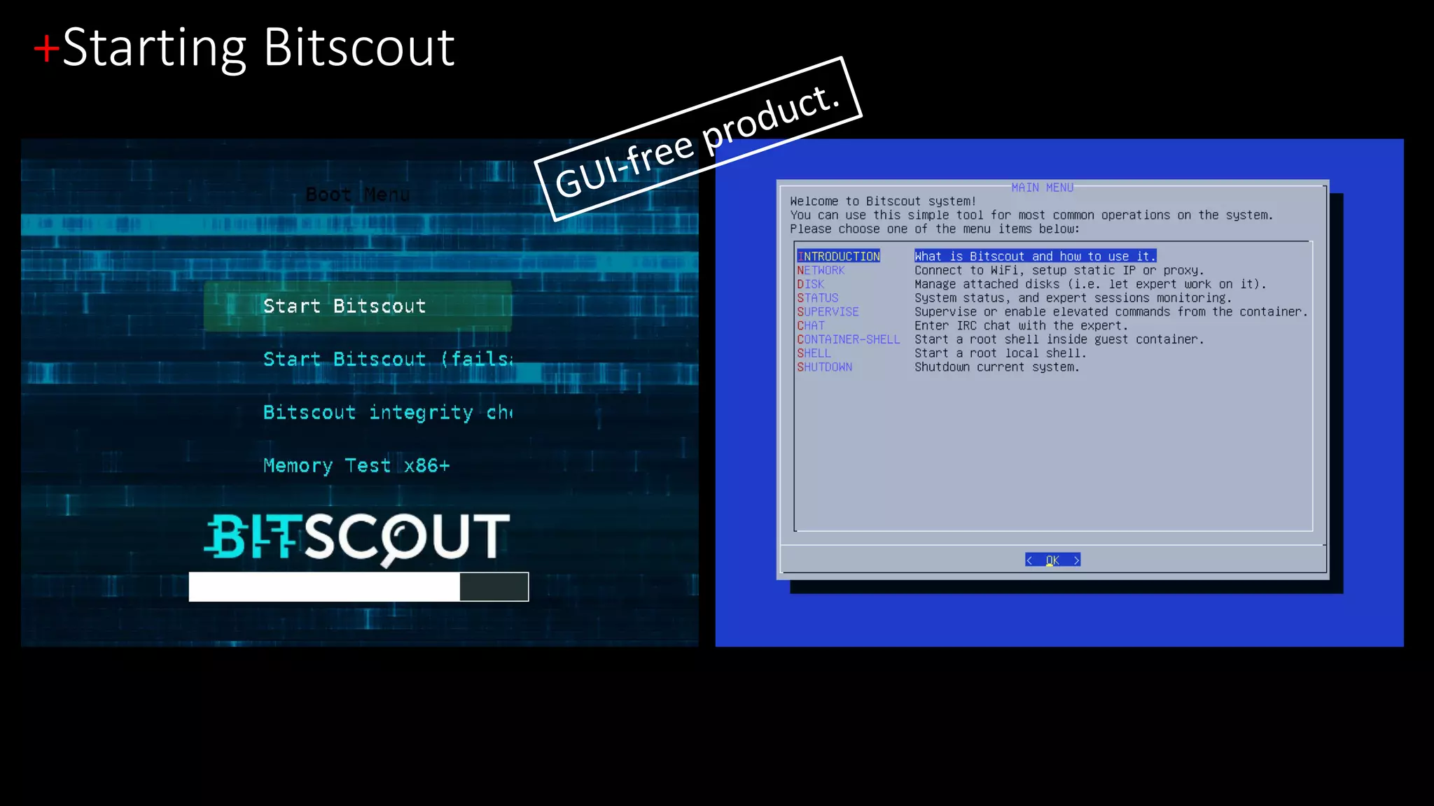 +Starting Bitscout
 