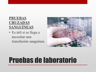 Pruebas de laboratorio
PRUEBAS
CRUZADAS
SANGUÍNEAS
• Es útil si se llega a
necesitar una
transfusión sanguínea
 
