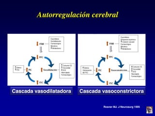 Autorregulación cerebral
Cascada vasodilatadora Cascada vasoconstrictora
Rosner MJ. J Neurosurg 1995
 