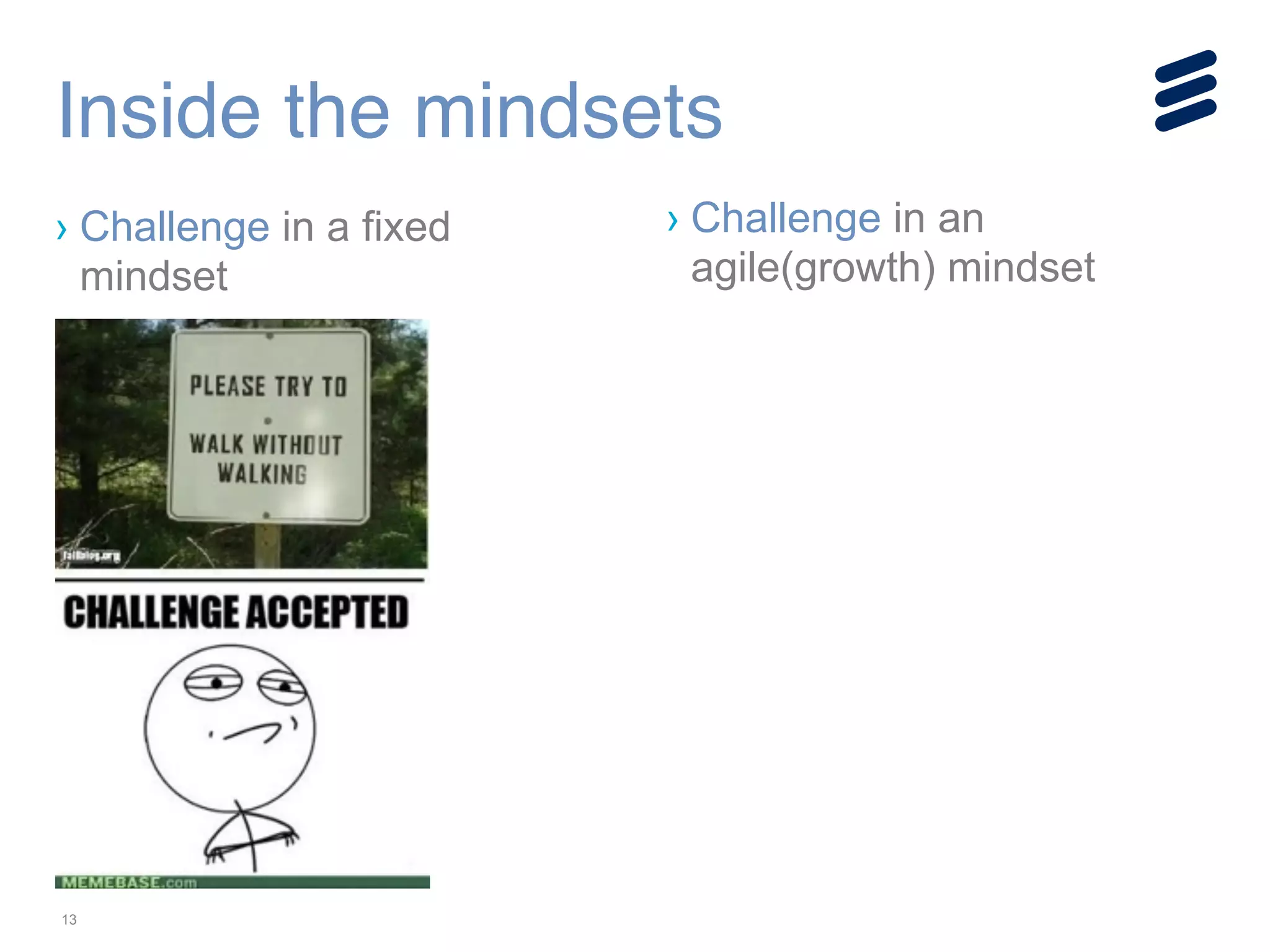 13
Inside the mindsets
› Challenge in a fixed
mindset
› Challenge in an
agile(growth) mindset
!
!
!
 