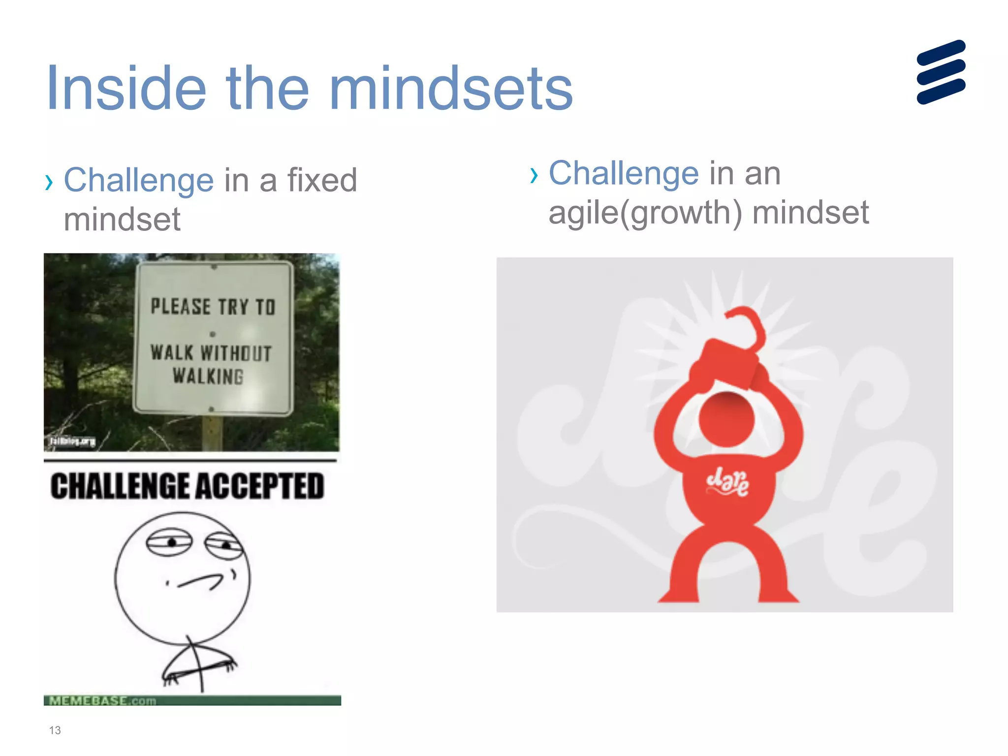 13
Inside the mindsets
› Challenge in a fixed
mindset
› Challenge in an
agile(growth) mindset
!
!
!
 