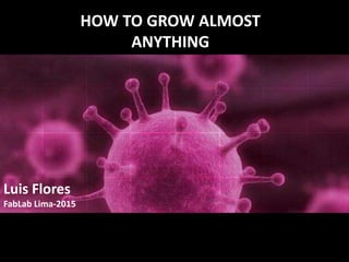 HOW TO GROW ALMOST
ANYTHING
Luis Flores
FabLab Lima-2015
 