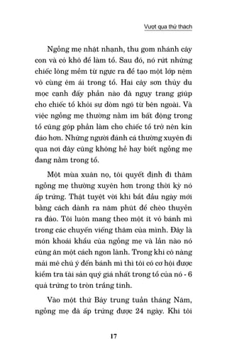 17
Vượt qua thử thách
Ngỗng mẹ nhặt nhạnh, thu gom nhánh cây
con và cỏ khô để làm tổ. Sau đó, nó rứt những
chiếc lông mềm từ ngực ra để tạo một lớp nệm
vô cùng êm ái trong tổ. Hai cây sơn thủy du
mọc cạnh đấy phần nào đã ngụy trang giúp
cho chiếc tổ khỏi sự dòm ngó từ bên ngoài. Và
việc ngỗng mẹ thường nằm im bất động trong
tổ cũng góp phần làm cho chiếc tổ trở nên kín
đáo hơn. Những người đánh cá thường xuyên đi
qua nơi đây cũng không hề hay biết ngỗng mẹ
đang nằm trong tổ.
Một mùa xuân nọ, tôi quyết định đi thăm
ngỗng mẹ thường xuyên hơn trong thời kỳ nó
ấp trứng. Thật tuyệt vời khi bắt đầu ngày mới
bằng cách dành ra năm phút để chèo thuyền
ra đảo. Tôi luôn mang theo một ít vỏ bánh mì
trong các chuyến viếng thăm của mình. Đây là
món khoái khẩu của ngỗng mẹ và lần nào nó
cũng ăn một cách ngon lành. Trong khi cô nàng
mải mê chú ý đến bánh mì thì tôi có cơ hội được
kiểm tra tài sản quý giá nhất trong tổ của nó - 6
quả trứng to tròn trắng tinh.
Vào một thứ bảy trung tuần tháng Năm,
ngỗng mẹ đã ấp trứng được 24 ngày. Khi tôi
 