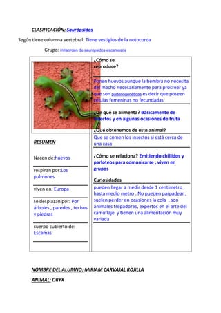 CLASIFICACIÓN: Saurópsidos
Según tiene columna vertebral: Tiene vestigios de la notocorda
Grupo: infraorden de saurópsidos escamosos
RESUMEN
Nacen de:huevos
respiran por:Los
pulmones
viven en: Europa
se desplazan por: Por
árboles , paredes , techos
y piedras
cuerpo cubierto de:
Escamas
¿Cómo se
reproduce?
Ponen huevos aunque la hembra no necesita
del macho necesariamente para procrear ya
que son partenogenéticas es decir que poseen
células femeninas no fecundadas
¿De qué se alimenta? Básicamente de
insectos y en algunas ocasiones de fruta
¿Qué obtenemos de este animal?
Que se comen los insectos si está cerca de
una casa
¿Cómo se relaciona? Emitiendo chillidos y
parloteos para comunicarse , viven en
grupos
Curiosidades
pueden llegar a medir desde 1 centímetro ,
hasta medio metro . No pueden parpadear ,
suelen perder en ocasiones la cola , son
animales trepadores, expertos en el arte del
camuflaje y tienen una alimentación muy
variada
NOMBRE DEL ALUMNO: MIRIAM CARVAJAL ROJILLA
ANIMAL: ORYX
 