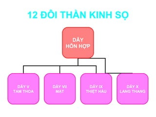 12 ĐÔI THẦN KINH SỌ

                   DÂY
                 HỖN HỢP




  DÂY V    DÂY VII      DÂY IX       DÂY X
TAM THOA    MẶT       THIỆT HẦU   LANG THANG
 