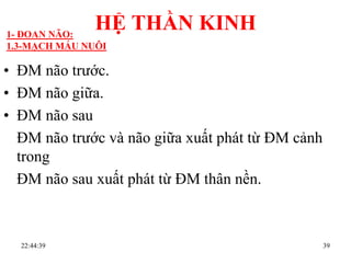 • ĐM não trƣớc.
• ĐM não giữa.
• ĐM não sau
ĐM não trƣớc và não giữa xuất phát từ ĐM cảnh
trong
ĐM não sau xuất phát từ ĐM thân nền.
22:44:39 39
HỆ THẦN KINH1- ĐOAN NÃO:
1.3-MẠCH MÁU NUÔI
 