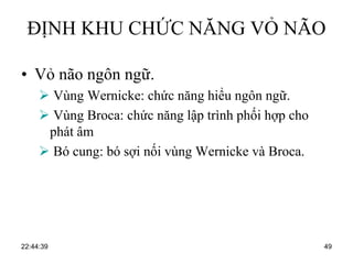 ĐỊNH KHU CHỨC NĂNG VỎ NÃO
• Vỏ não ngôn ngữ.
 Vùng Wernicke: chức năng hiểu ngôn ngữ.
 Vùng Broca: chức năng lập trình phối hợp cho
phát âm
 Bó cung: bó sợi nối vùng Wernicke và Broca.
22:44:39 49
 