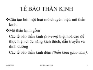 TẾ BÀO THẦN KINH
Cấu tạo bởi một loại mô chuyên biệt: mô thần
kinh.
Mô thần kinh gồm
Các tế bào thần kinh (nơ-ron) biệt hoá cao để
thực hiện chức năng kích thích, dẫn truyễn và
dinh dƣỡng
Các tế bào thần kinh đệm (thần kinh giao cảm).
20/08/2016 HỆ THẦN KINH 5
 