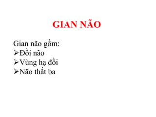 Gian não gồm:
Đồi não
Vùng hạ đồi
Não thất ba
GIAN NÃO
 