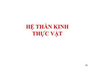 HỆ THẦN KINH
THỰC VẬT
70
 