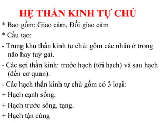 HỆ THẦN KINH TỰ CHỦ
* Bao gồm: Giao cảm, Đối giao cảm
* Cấu tạo:
- Trung khu thần kinh tự chủ: gồm các nhân ở trong
não hay tuỷ gai.
- Các sợi thần kinh: trƣớc hạch (tới hạch) và sau hạch
(đến cơ quan).
- Các hạch thần kinh tự chủ gồm có 3 loại:
+ Hạch cạnh sống.
+ Hạch trƣớc sống, tạng.
+ Hạch tận cùng
 